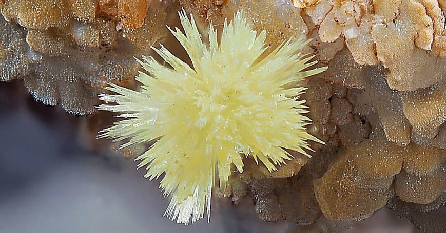 Misch-Kristalle Mimetesit-Pyromorphit xx Grube Clara bei Oberwolfach im Schwarzwald