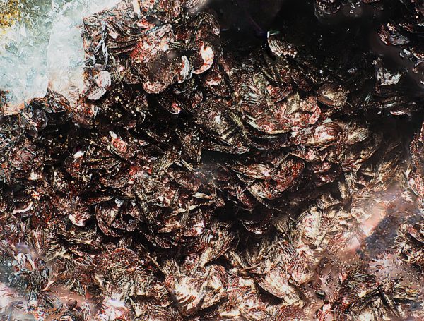 Hämatit xx Grube Adolph bei Bockenrod Hämatit xx Grube Adolph bei Bockenrod